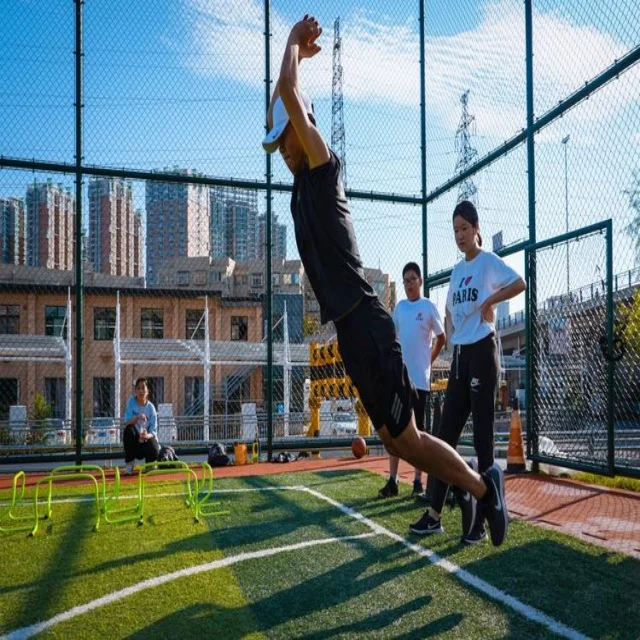 揭秘NBA季后赛对阵形式与关键胜负因素